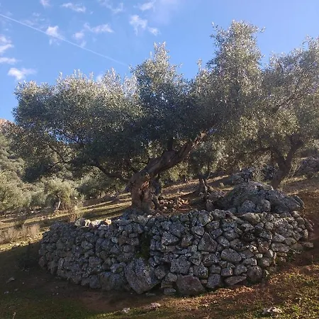 Casa Relojero بيت للعطل Zarza-Capilla