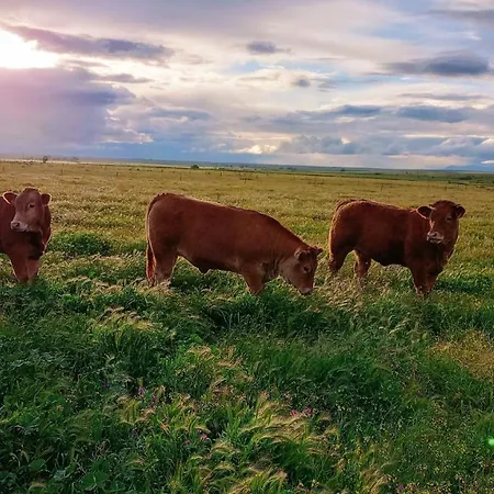 Casa Relojero * Zarza-Capilla
