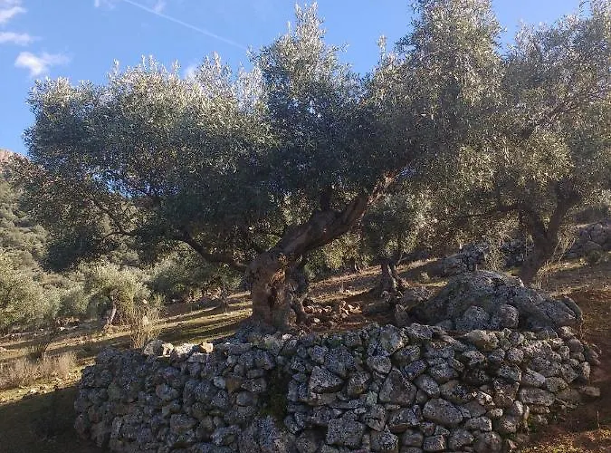 Casa Relojero Vakantiehuis Zarza-Capilla