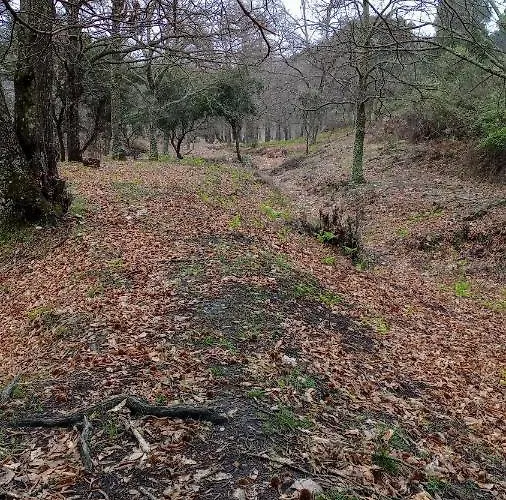 Casa Relojero Vakantiehuis *