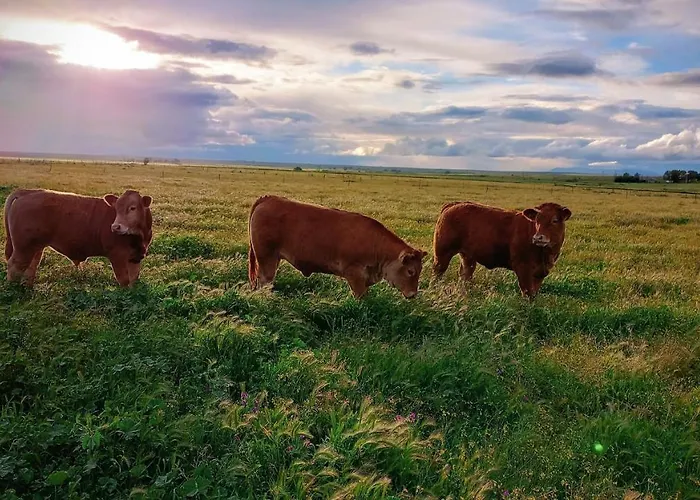 Casa Relojero * Zarza-Capilla