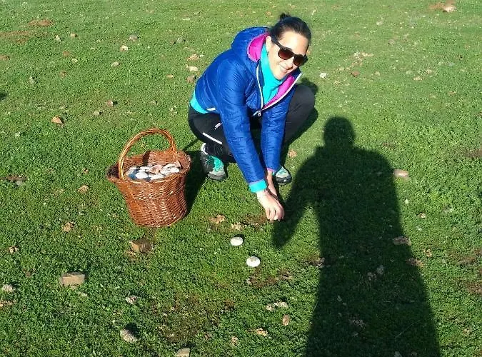 Casa Relojero Сasa de vacaciones *